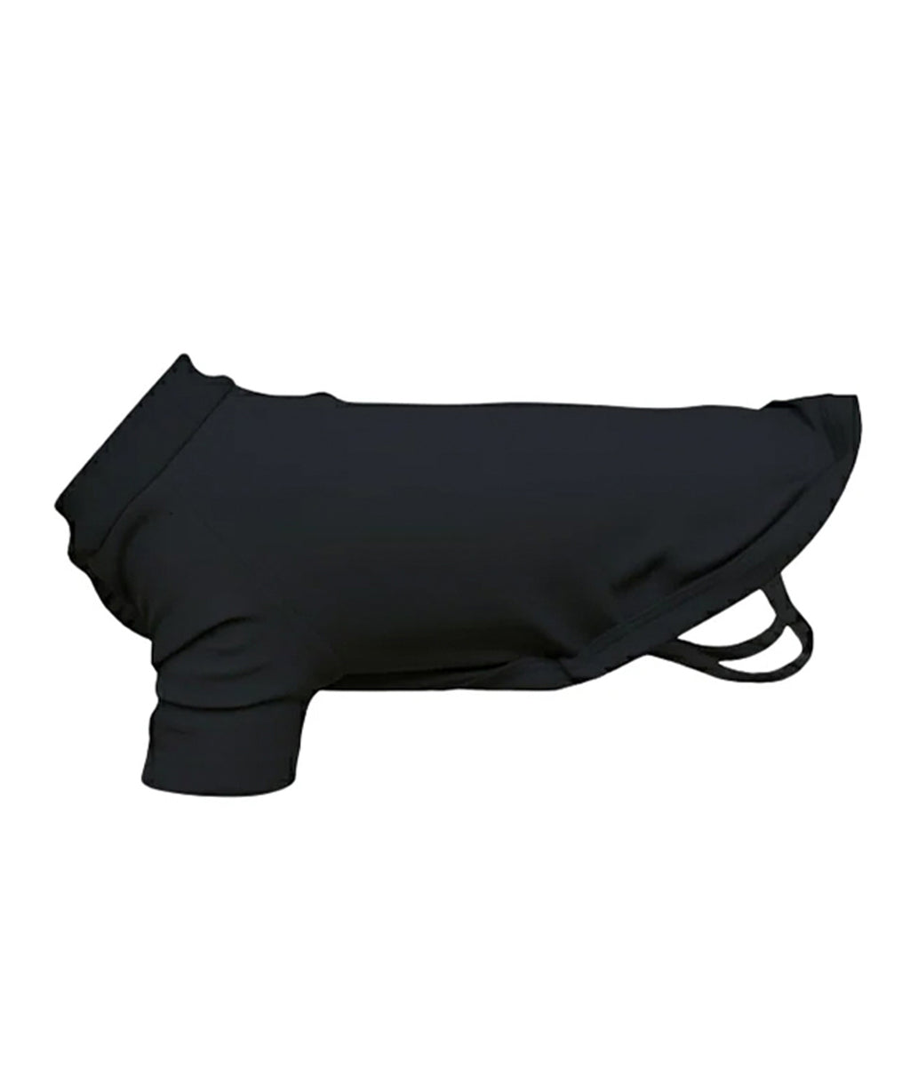 Dog’s raglan t-shirt