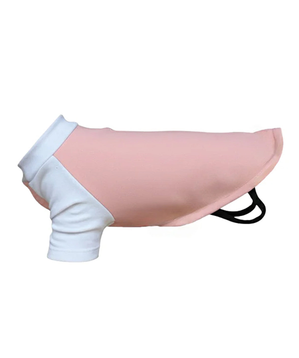 Dog’s raglan t-shirt