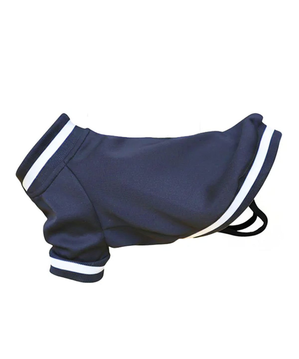 Dog’s varsity jacket