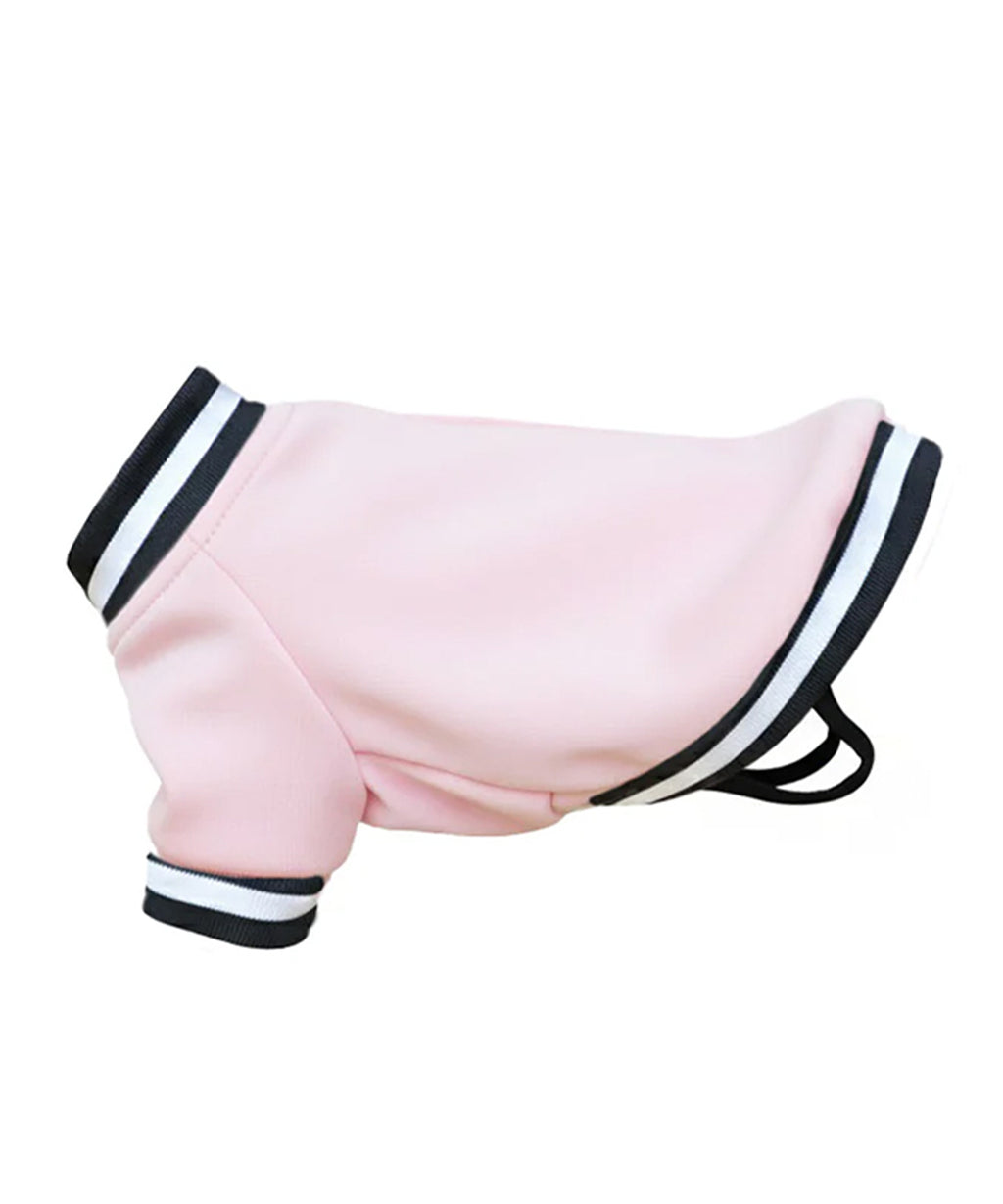 Dog’s varsity jacket