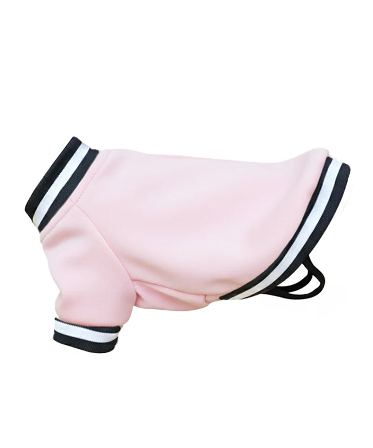 Dog’s varsity jacket