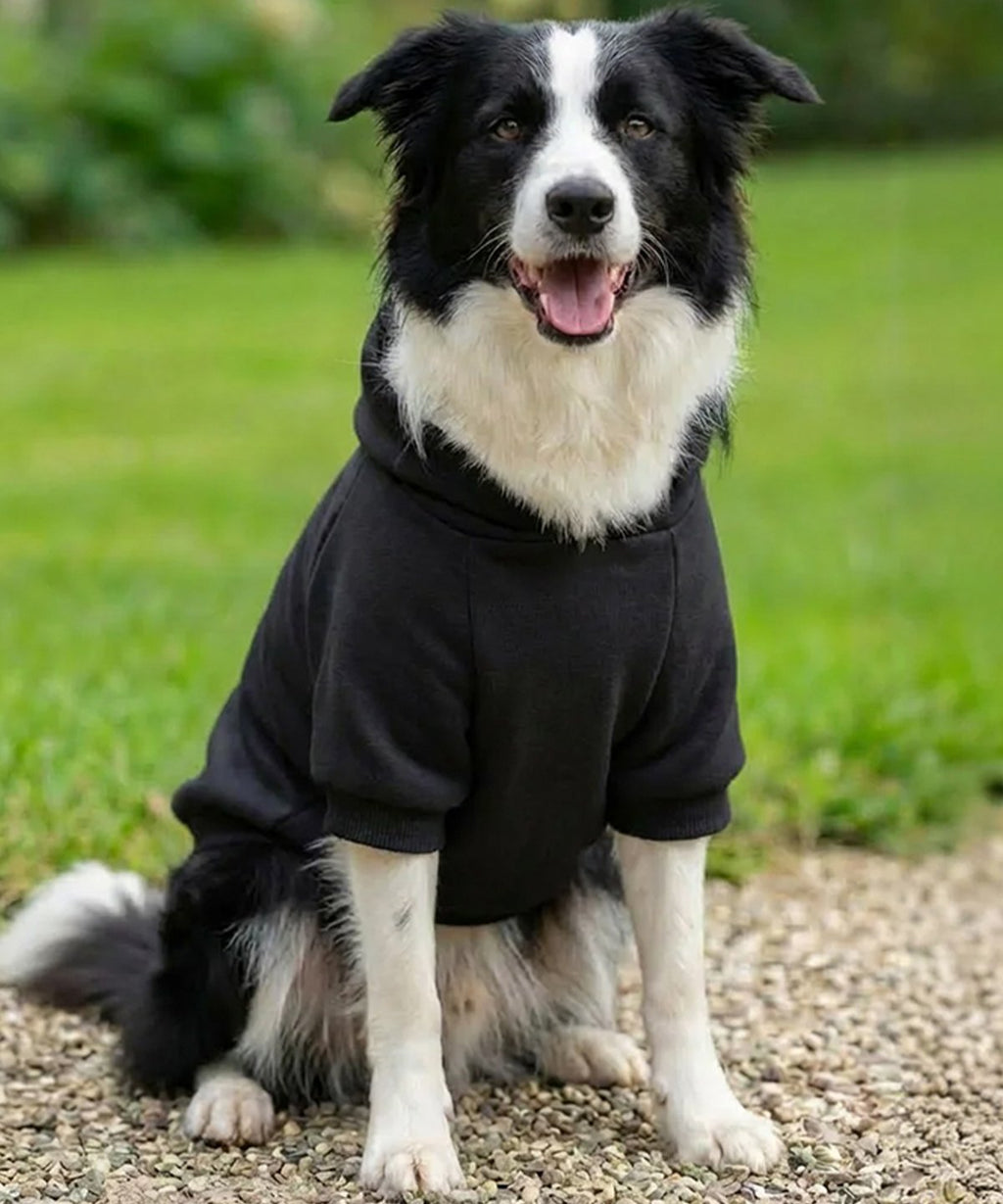 Dog’s hoodie