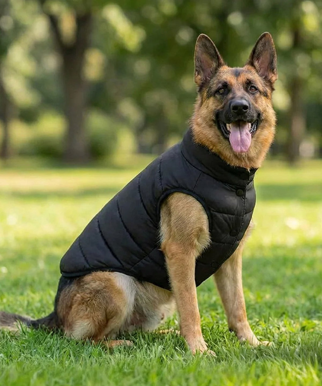 Dog’s puffer jacket