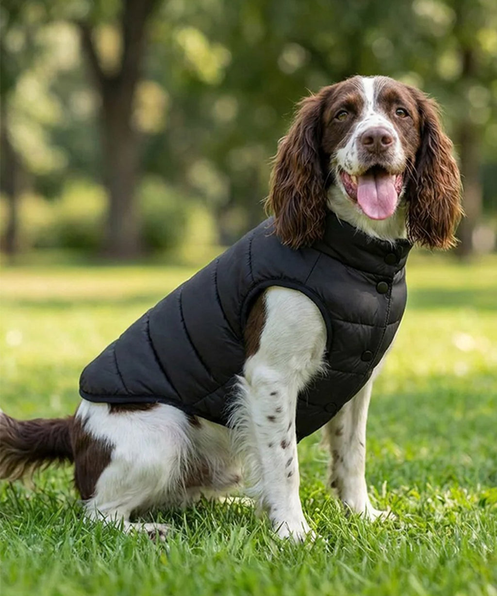 Dog’s puffer jacket