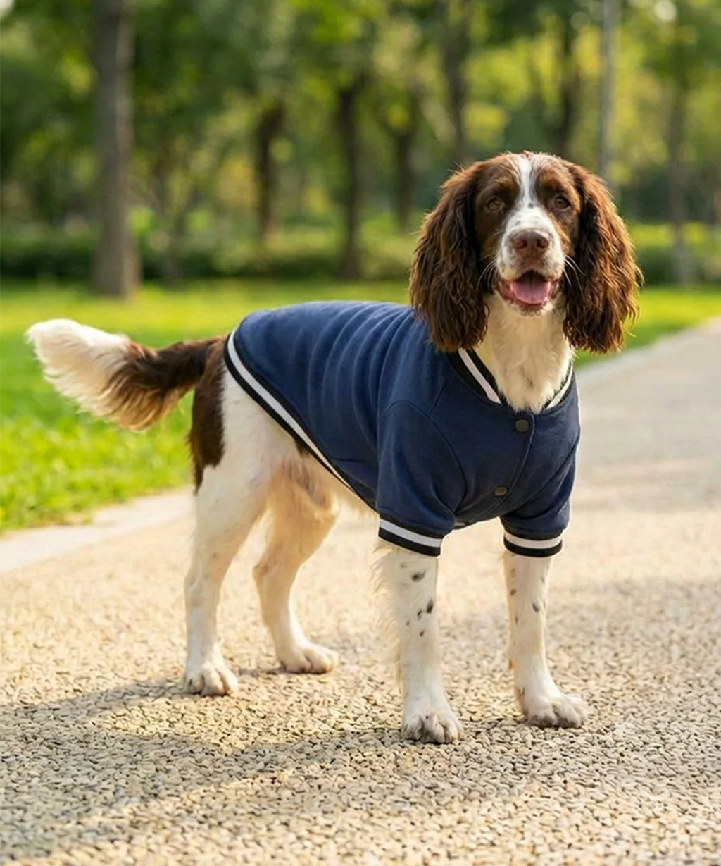 Dog’s varsity jacket